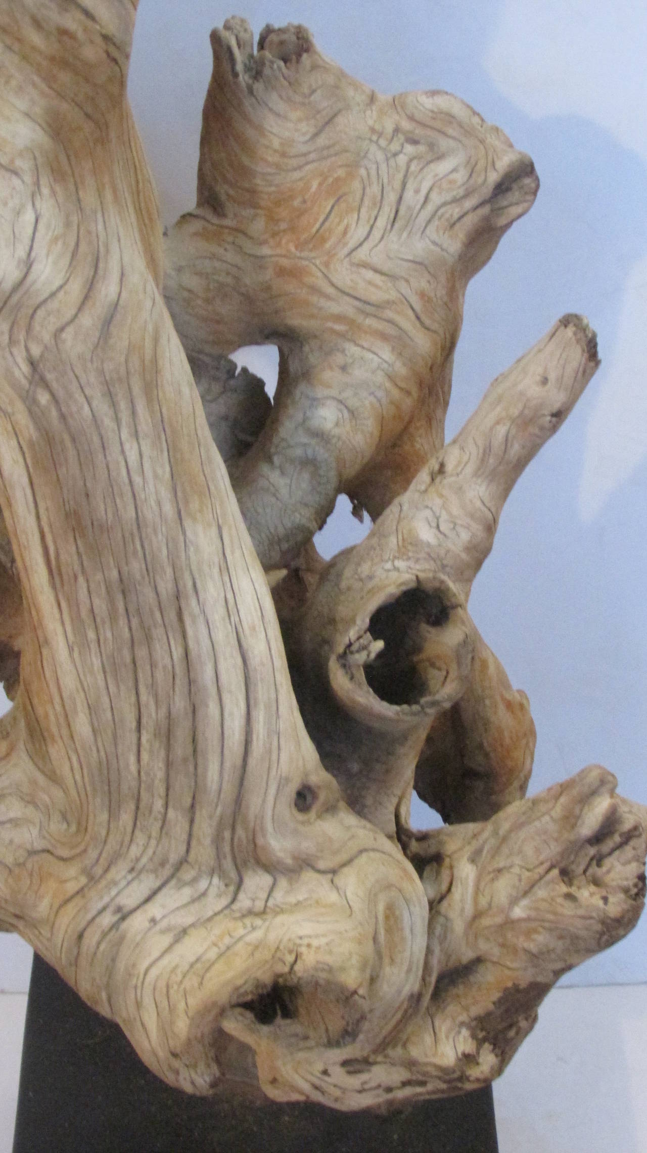 Large American Natural Driftwood Sculpture at 1stDibs large driftwood