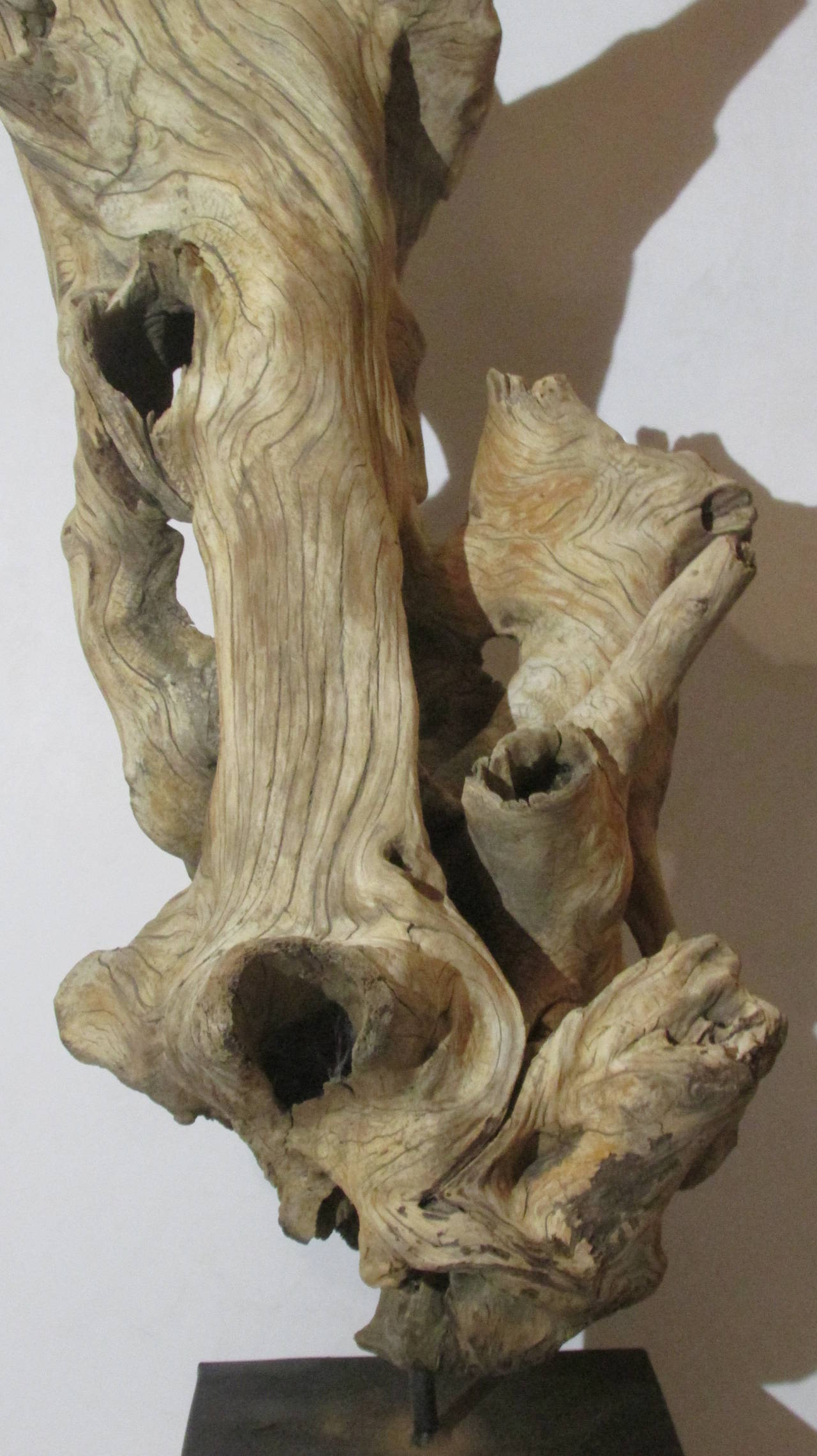Large American Natural Driftwood Sculpture at 1stDibs large driftwood