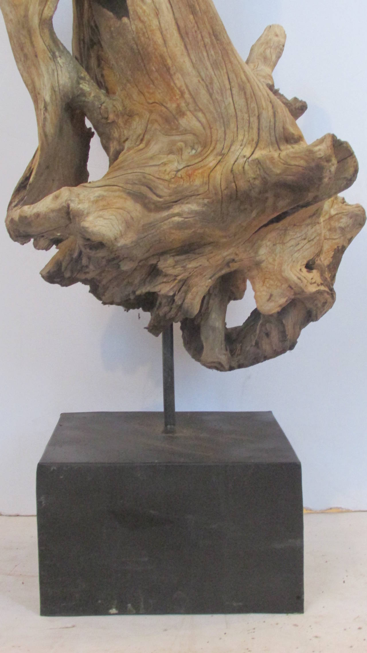 Large American Natural Driftwood Sculpture at 1stDibs large driftwood