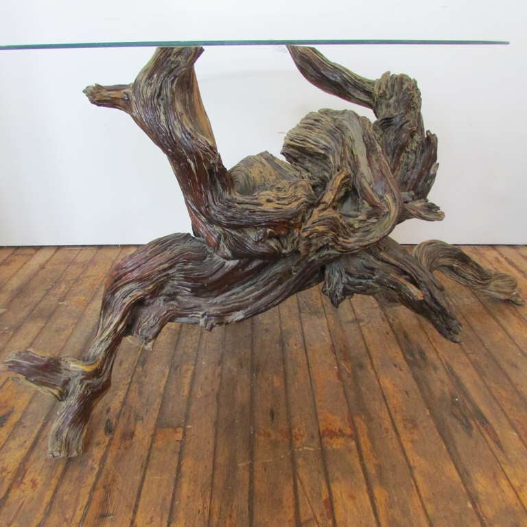 Driftwood Redwood Burl Root Sculpture / Table Base For Sale at 1stdibs