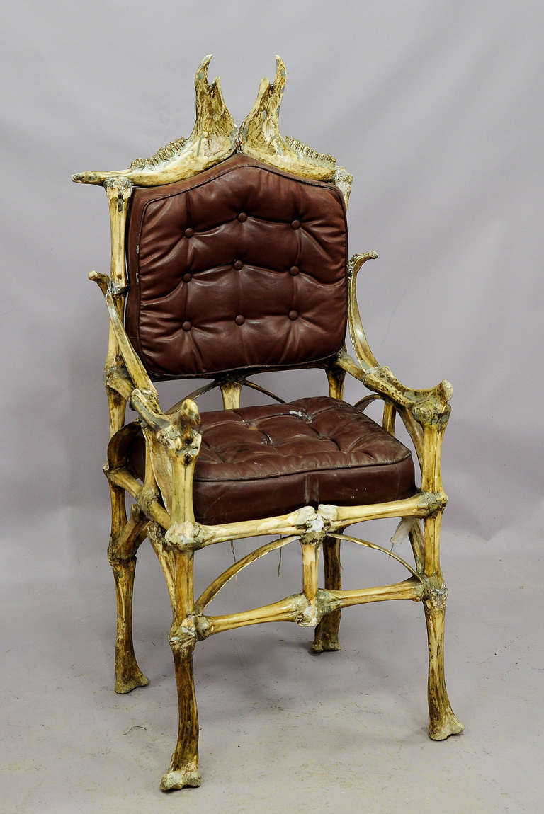 Vintage Bull Bone Chair, circa 1930 For Sale at 1stdibs