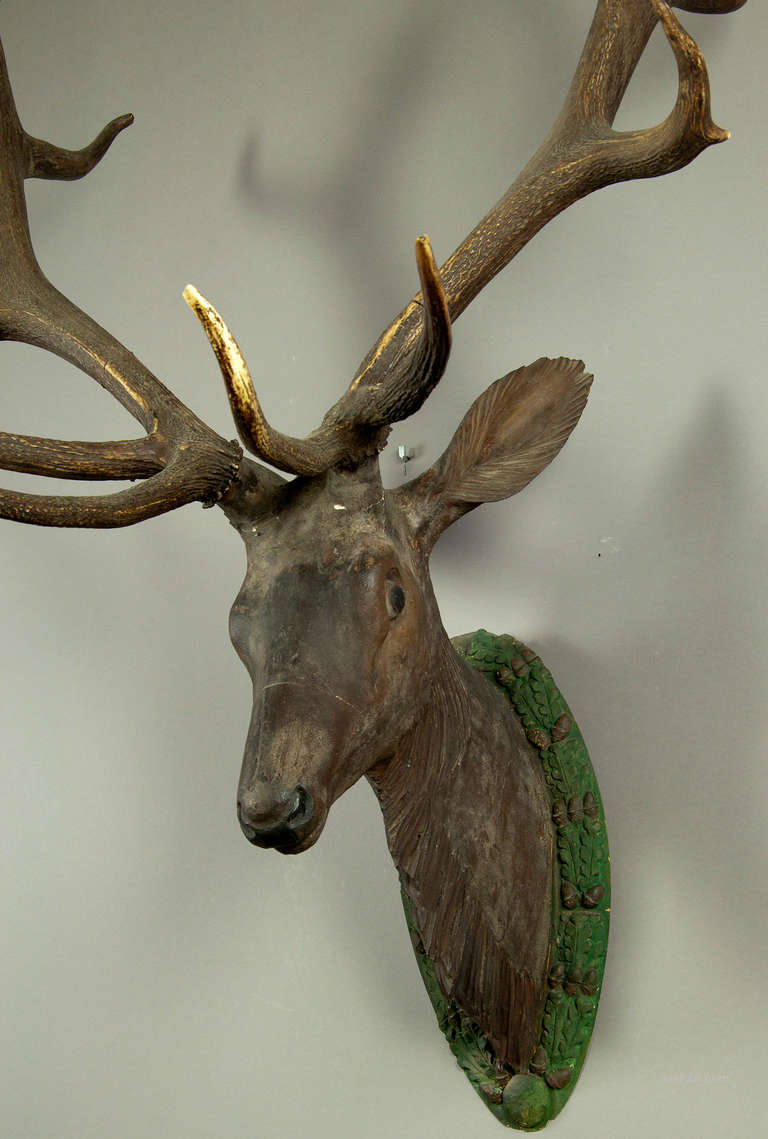 Antique Black Forest, Carved Wood Stag Head at 1stDibs antique deer