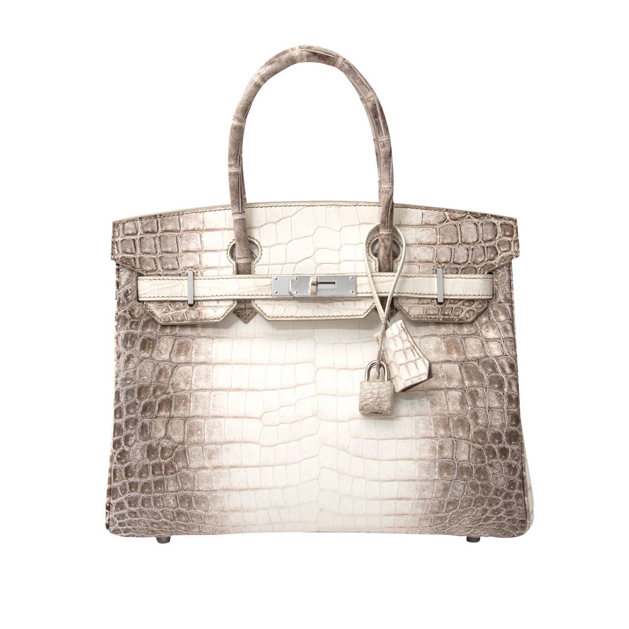 Hermès Birkin Bag Crocodile Niloticus Himalaya Handbag White PHW 30 at