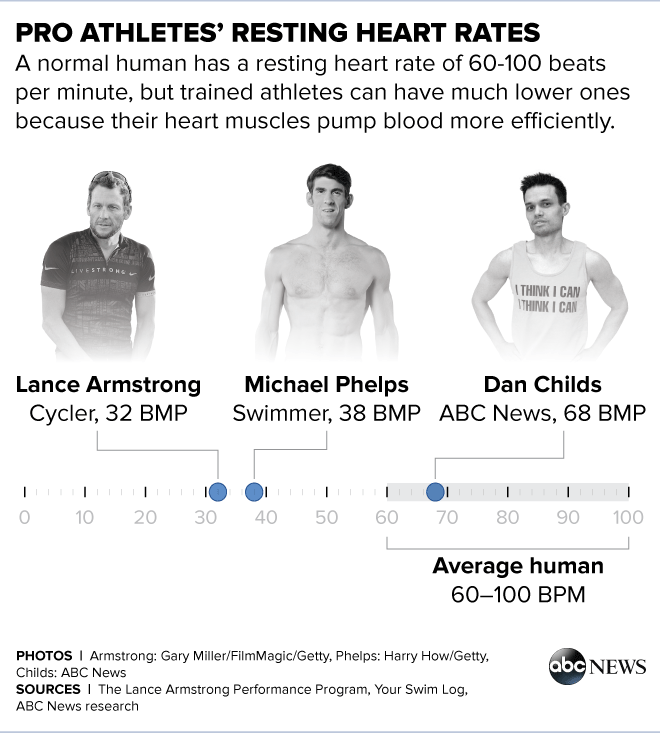 Find Out What Happens When You 'Hit the Wall' ABC News