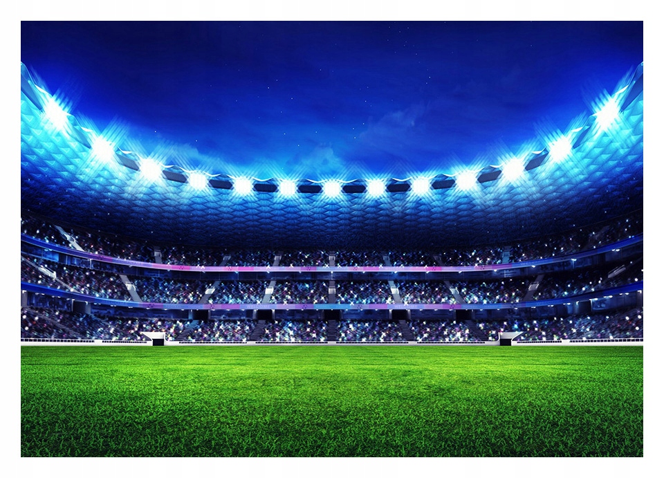 Fototapeta 3D Piłka Nożna Stadion 400x280 F00649