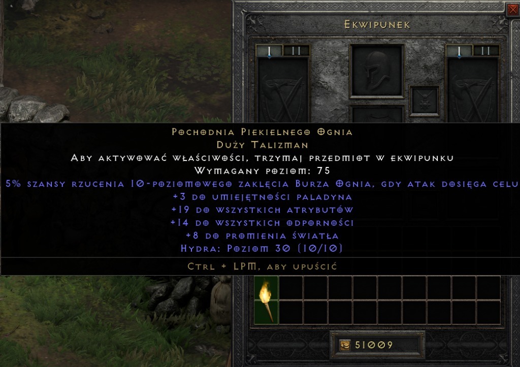 Diablo 2 Ressurected Paladyn Torch SŁUPSK Kup teraz na Allegro Lokalnie