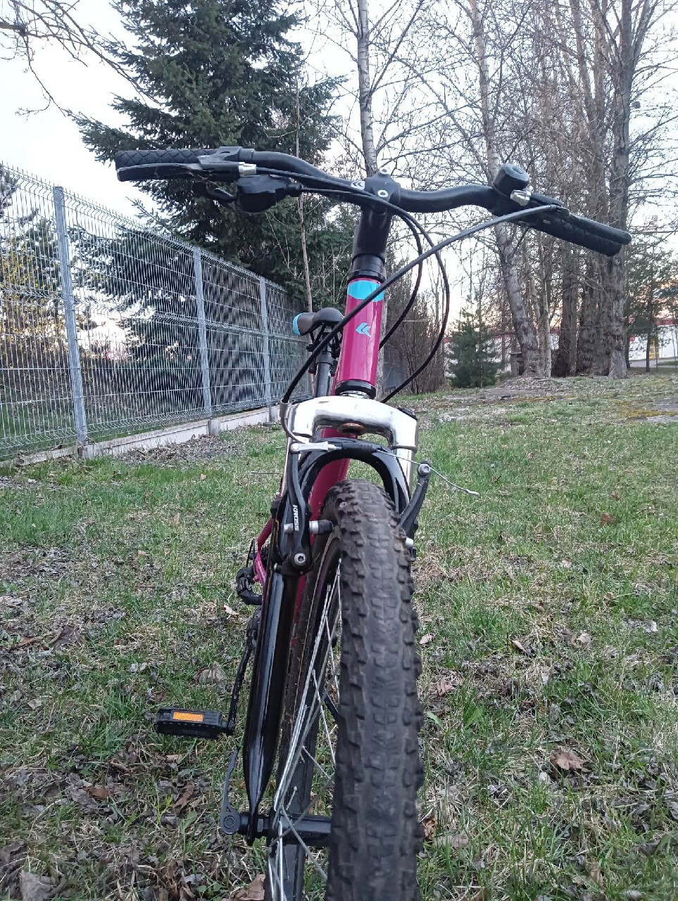 Rower Kross Lea Katowice Ogłoszenie na Allegro Lokalnie