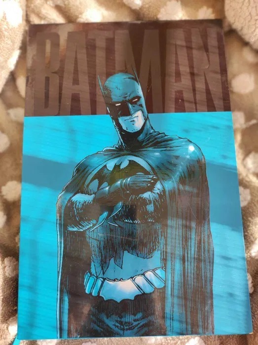 Absolute Batman & Robin Batman Reborn, ENG Piaseczno Kup teraz na