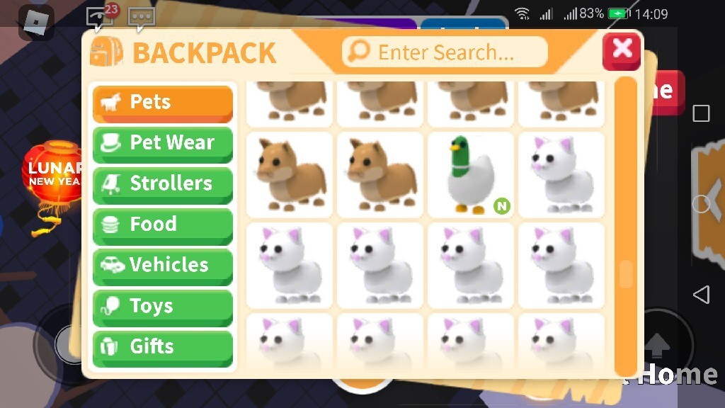 Silly Duck Neon. Adopt me Sosnowiec Ogłoszenie na Allegro Lokalnie