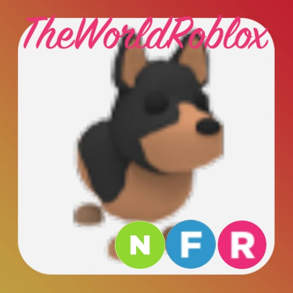 Roblox Adopt Me Australian Kelpie NFR Warszawa Kup teraz na Allegro