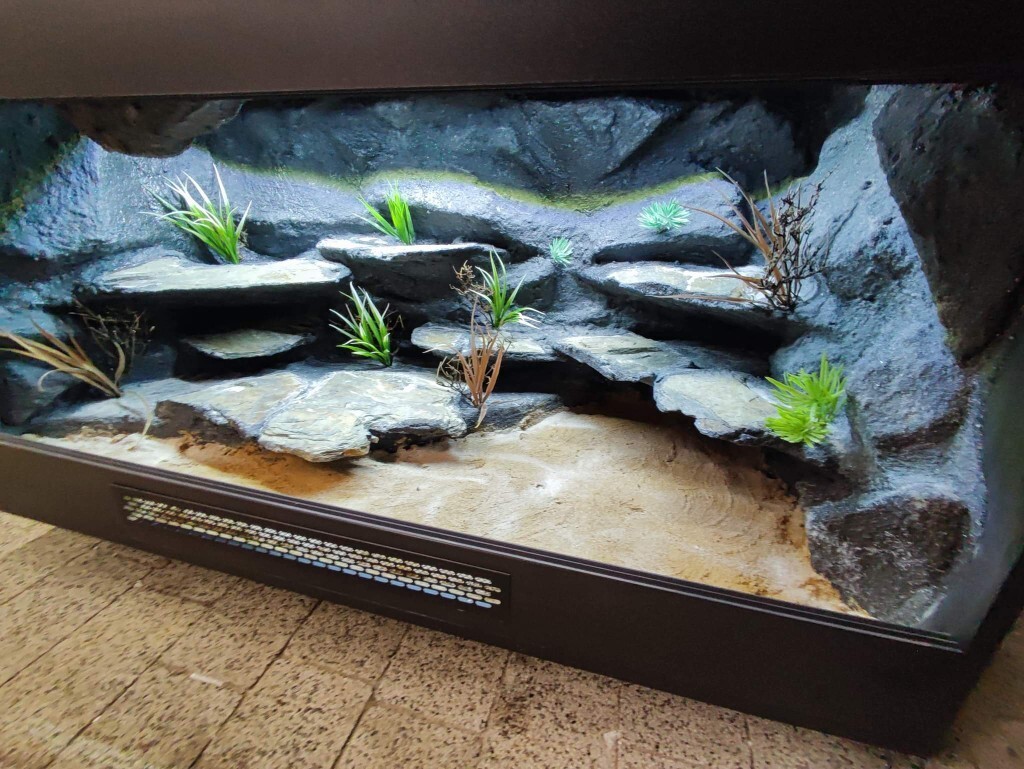 Terrarium 120x60x60 agama gekon jaszczurka Leszno Leszno Ogłoszenie