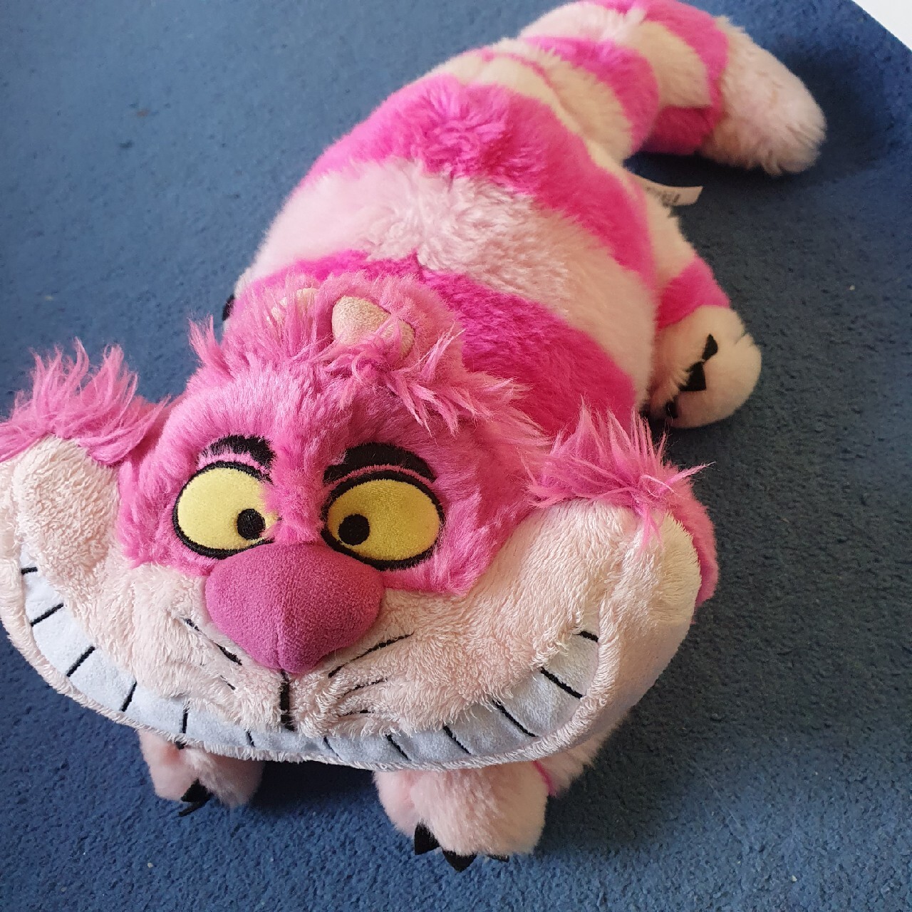 Kot cheshire disney store alicja w krainie czarów Polska Nowa Wieś