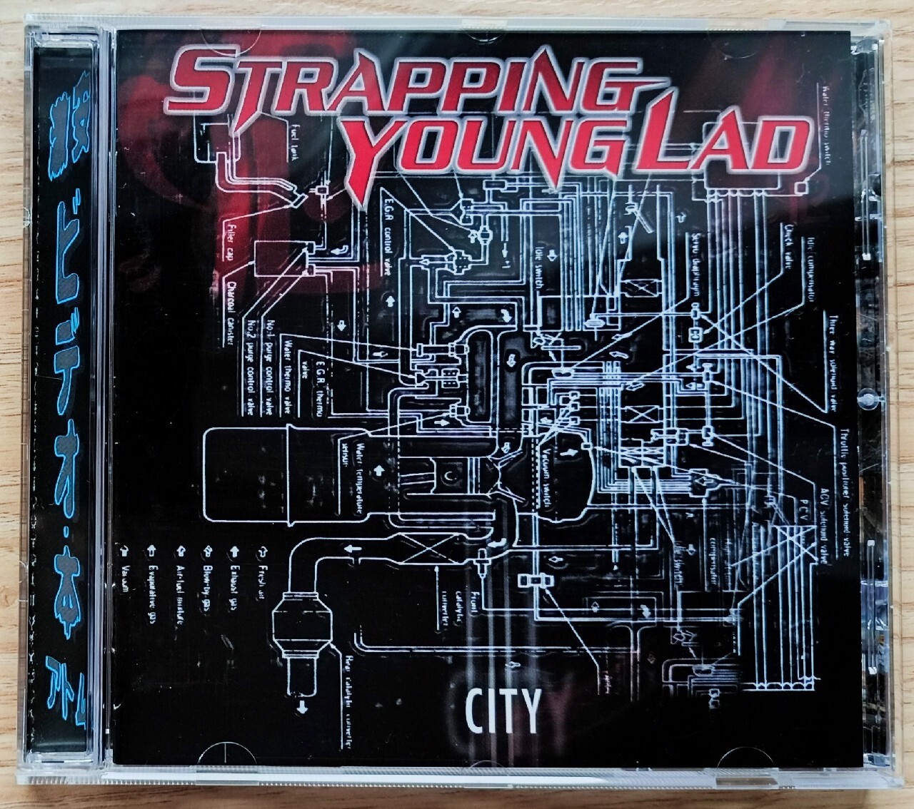 Strapping Young Lad City CD Kodeń Kup teraz na Allegro Lokalnie