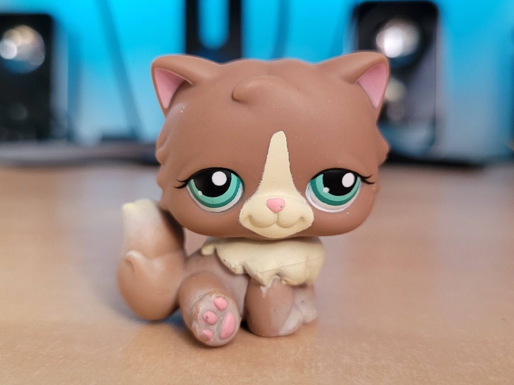 LPS Littlest Pet Shop kot kotek perski pers 371 Środa Wielkopolska