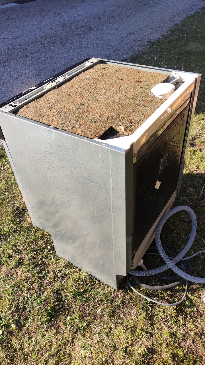 Zmywarka do zabudowy 60 Electrolux ESL63010 Myszków Ogłoszenie na Allegro Lokalnie