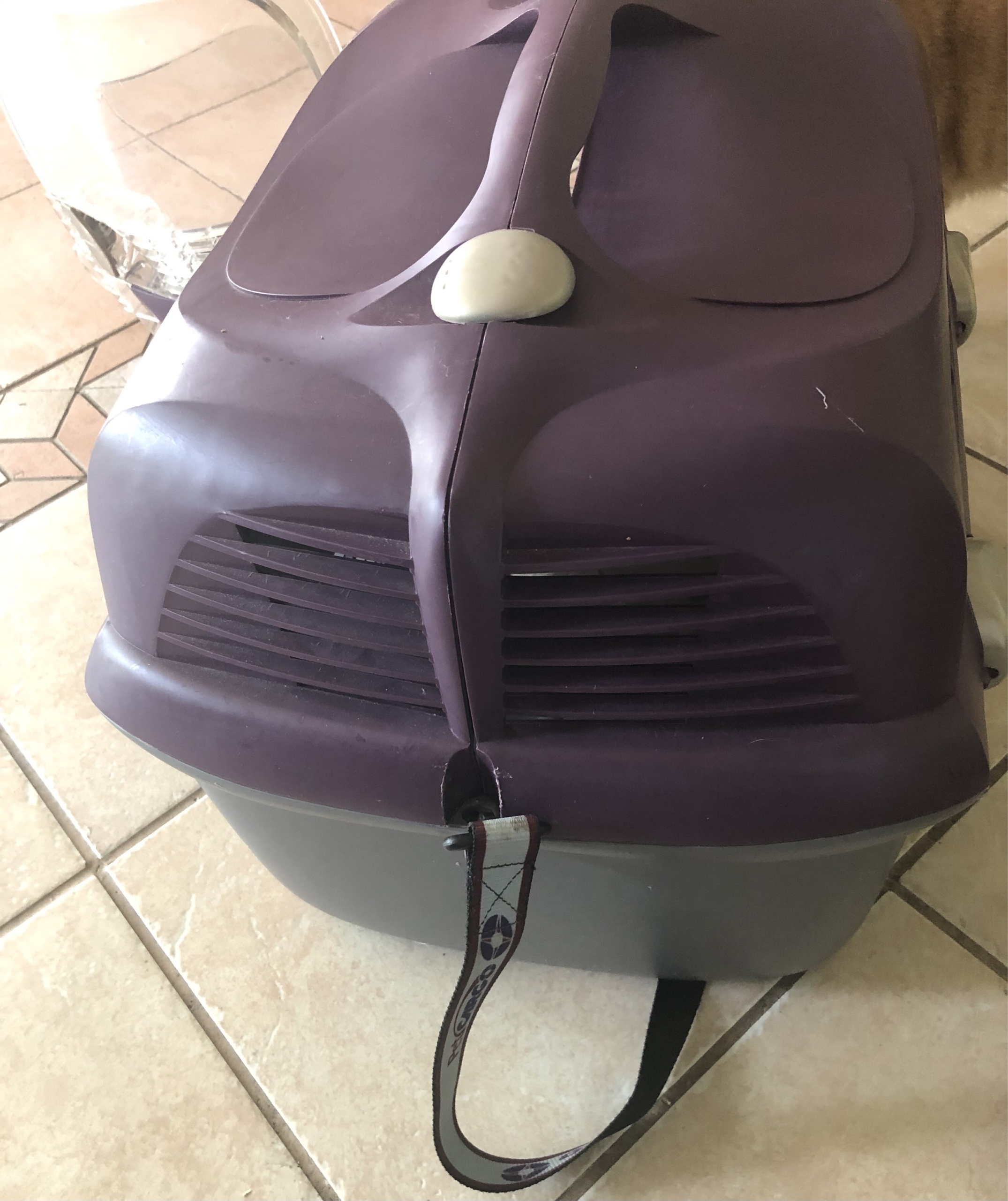 Transporter Catit Pet Cargo Cabrio + gratis. Warszawa Kup teraz na Allegro Lokalnie