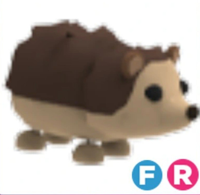 Adopt Me Hedgehog Grodzisk Mazowiecki Kup teraz na Allegro Lokalnie