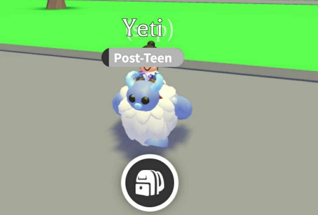 Adopt Me Ride Yeti Warszawa Ogłoszenie na Allegro Lokalnie