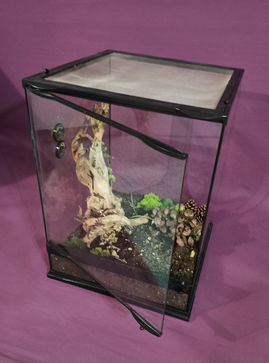 Terrarium 45x45x60 jaszczurka gekon wąż Warszawa Kup teraz na