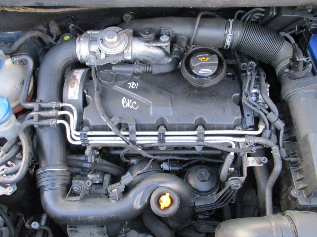 SILNIK VW GOLF V PLUS 1.9 TDI BKC 7233112382 oficjalne archiwum Allegro