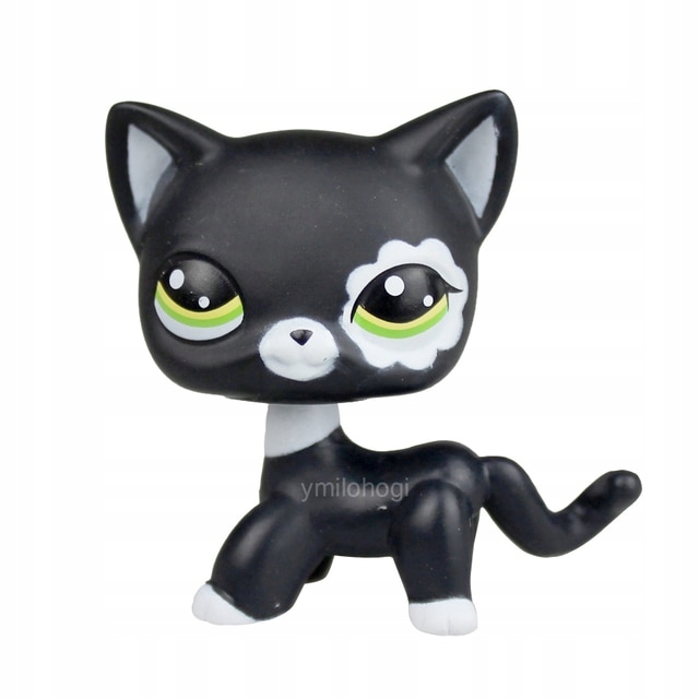 Littest sklep zoologiczny pies kot kotek rysunek z 12718035817