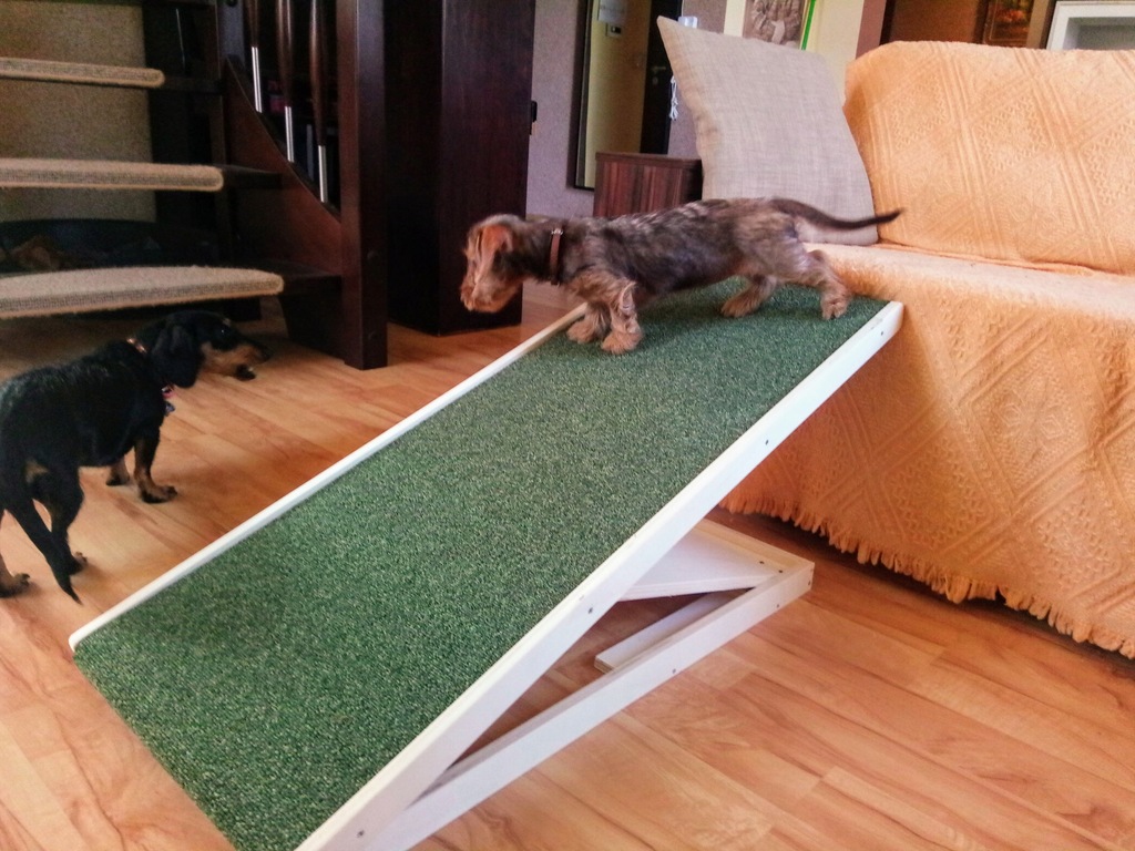 Купить Animal Ramp регулируемая платформа, пандус для собак HIT