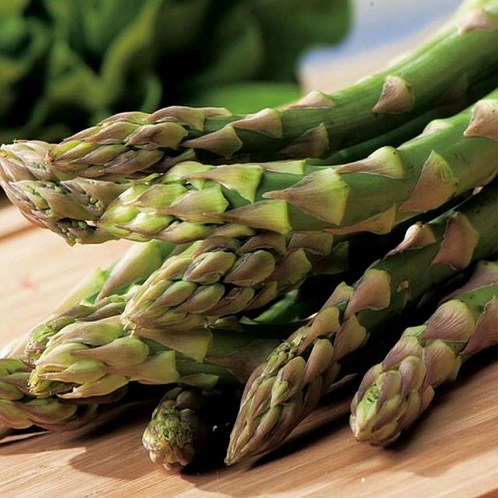 Asparagus Boonlim Szparagi 1 szt. Sadzonki Karpy 13207953944