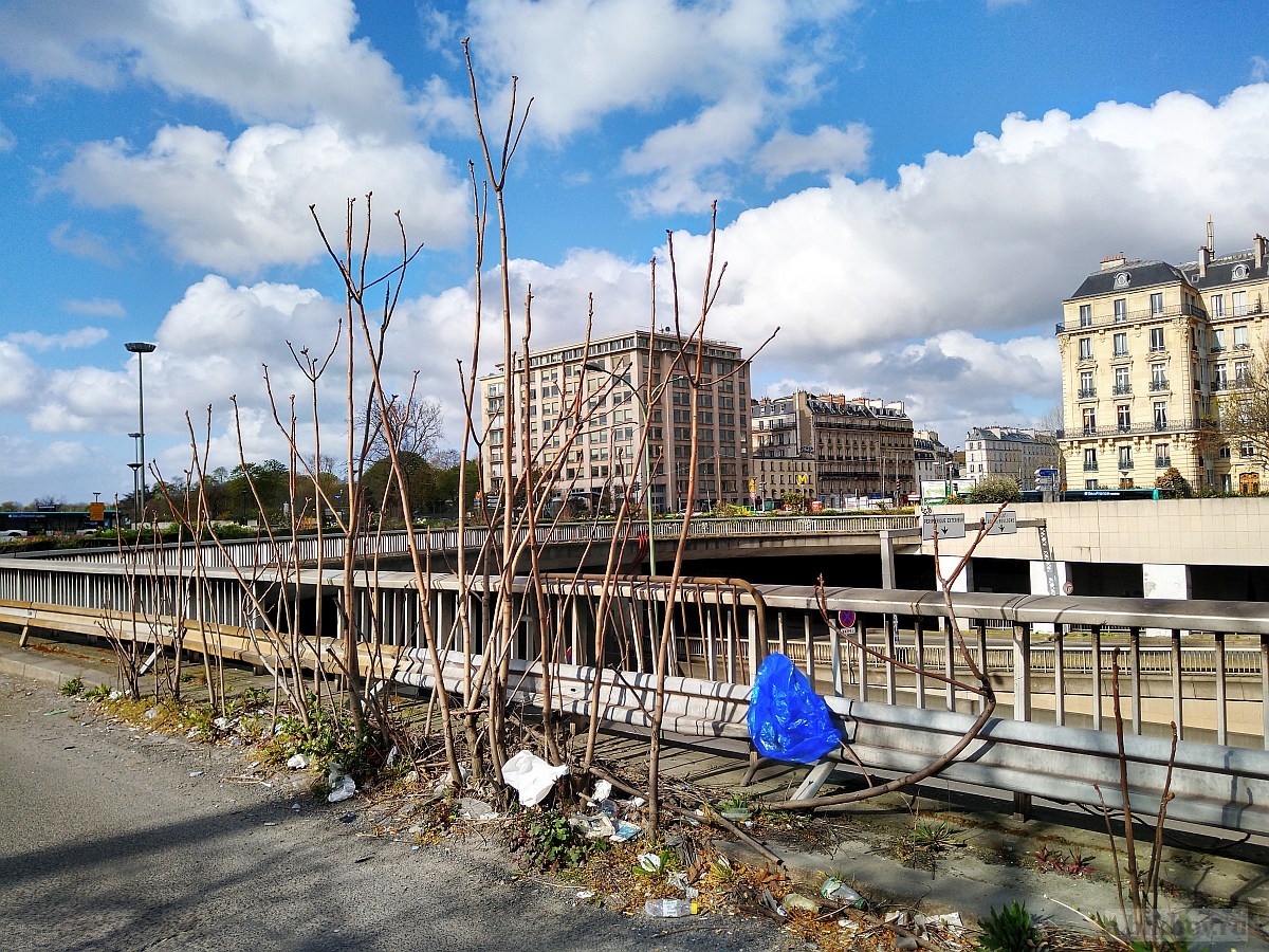 Alexander Bikbov: Paris-COVID, a study of signs of presence