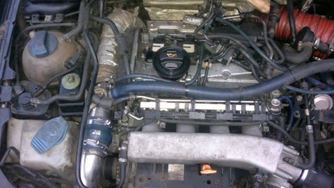 Audi S3 (8L) 1.8 бензиновый 1999 | 1.8 T на DRIVE2