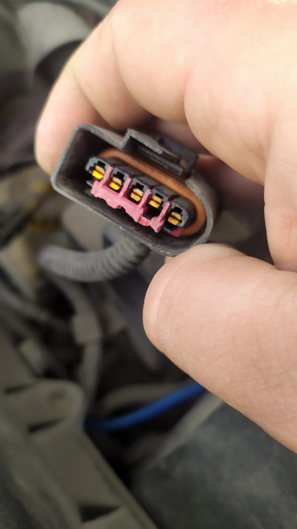 17552 Mass air Flow sensor (G70) open or short To ground Volkswagen