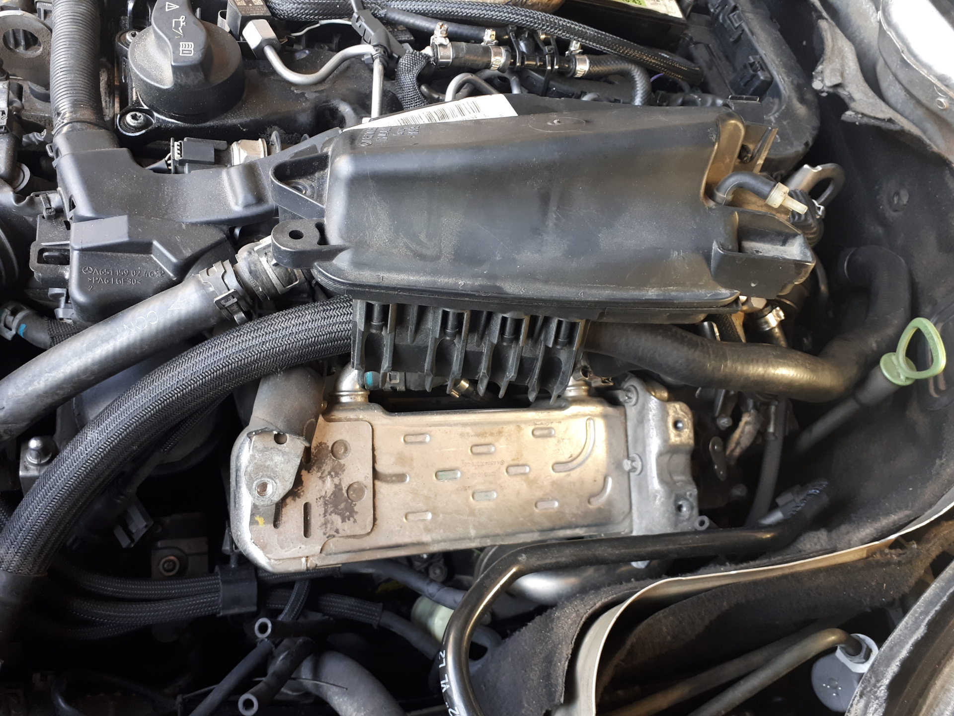 Снятие EGR на om651 — MercedesBenz GLKClass (X204), 2,2 л, 2010 года