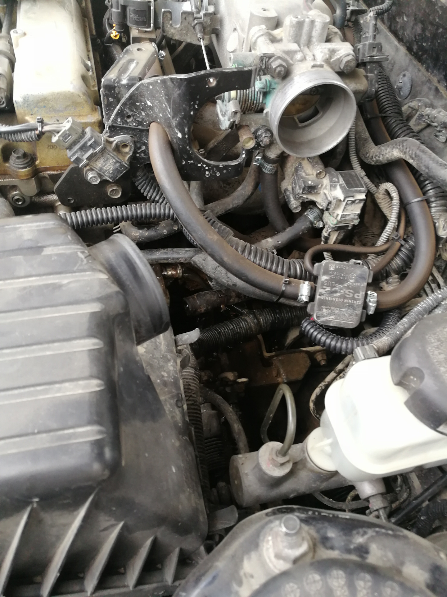 2010 hyundai sonata coolant type