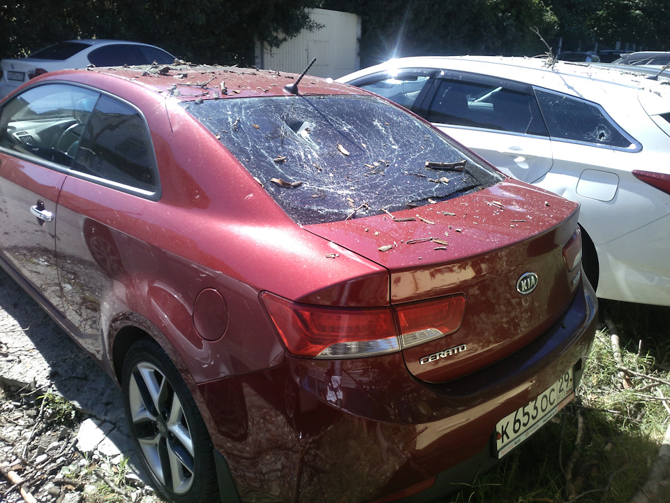 Дерево упало ( — KIA Cerato Koup (1G), 2 л, 2011 года ДТП DRIVE2