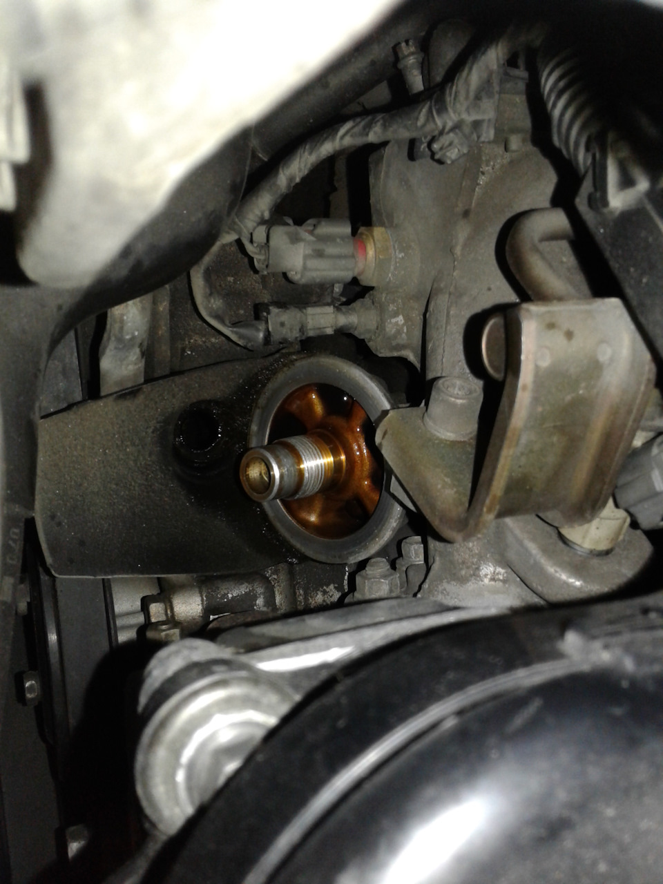 Zeiger Hausarbeit machen Einzelheiten oil filter nissan primera