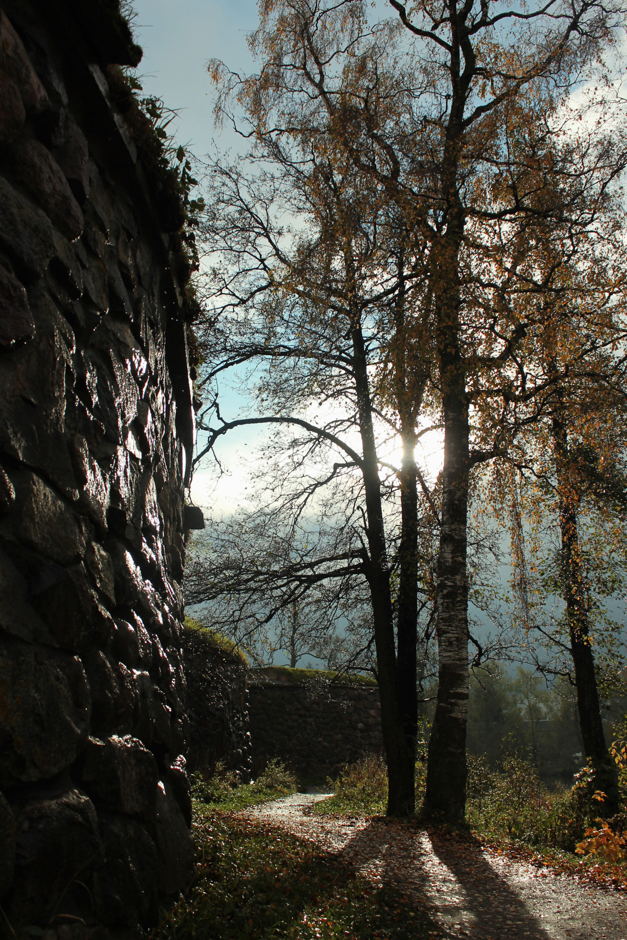 Fixing leaking vacuum pump — Volvo XC60 (1G), 3,2 л, 2014 года своими