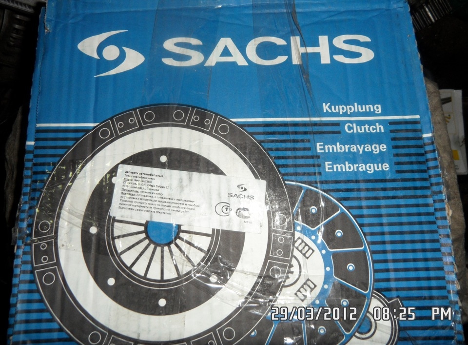 Jak správně poznat velkého filozofa Friedricha Sachse? Podrobný