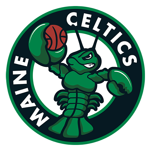 Nets vs. Celtics NBA G League Team Statistics 10 March 2023 ESPN