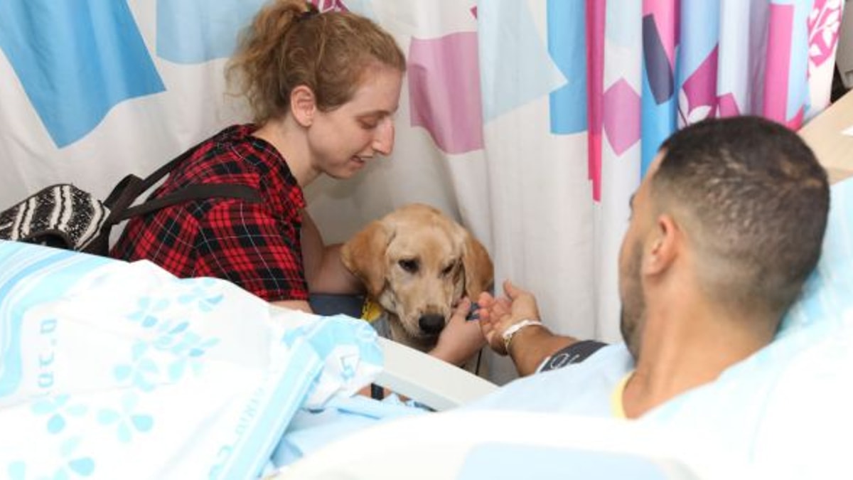 Four Legged Helpers The Wounded Meet Labradors at the Hospital