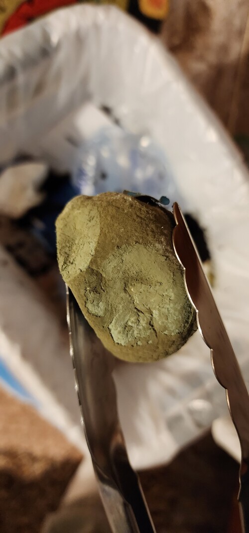 Moldy Clementine Lensdump Page 1