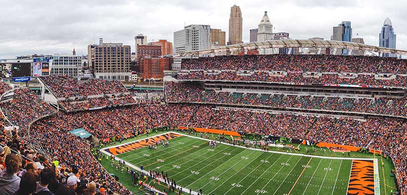 Cincinnati Bengals Tickets 2018 Vivid Seats