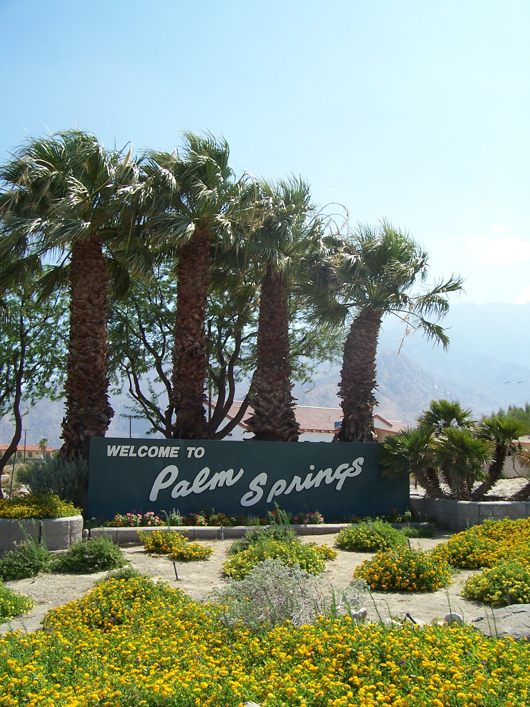 Charming, MidCenturyModern, near downtown, clean Apartments for