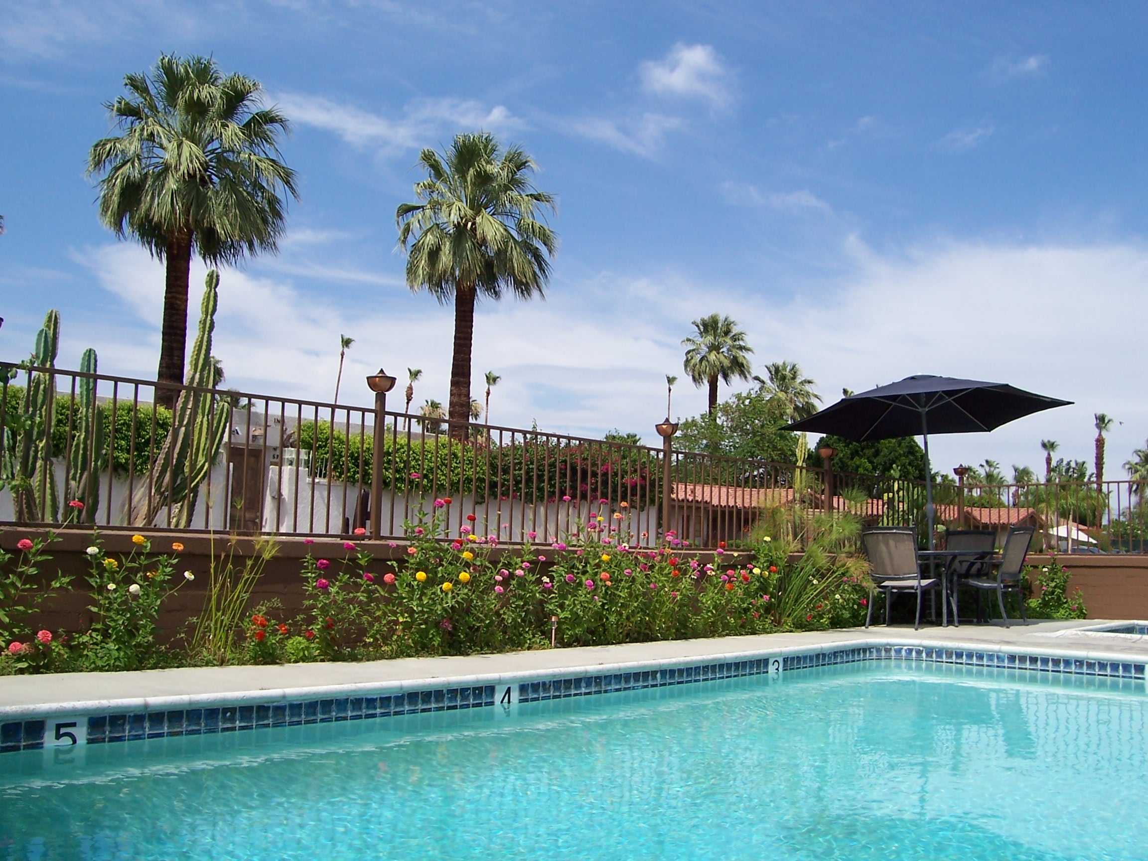 Charming, MidCenturyModern, near downtown, clean Apartments for