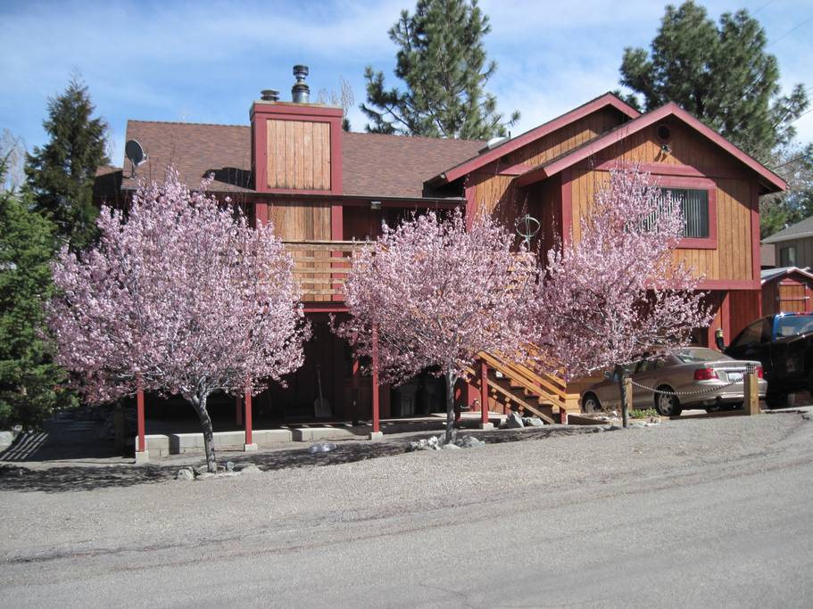 Wrightwood B&B, Land of 4 Seasons Apartments for Rent in Wrightwood