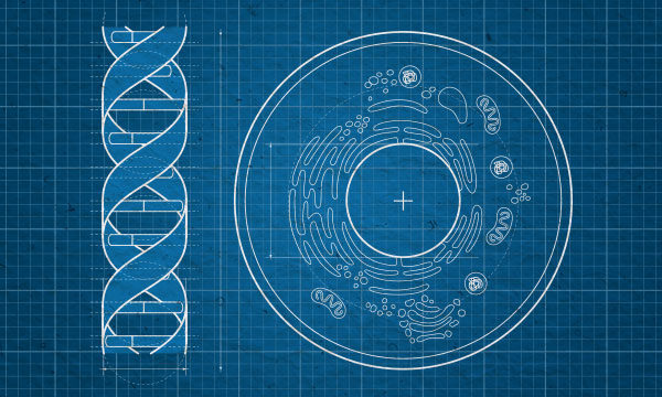 Bio Eats World The Thermodynamics of Life Andreessen Horowitz