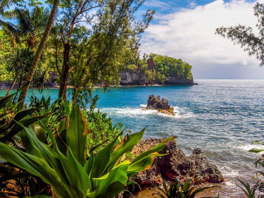 Shipping A Car To or From Hilo, HI