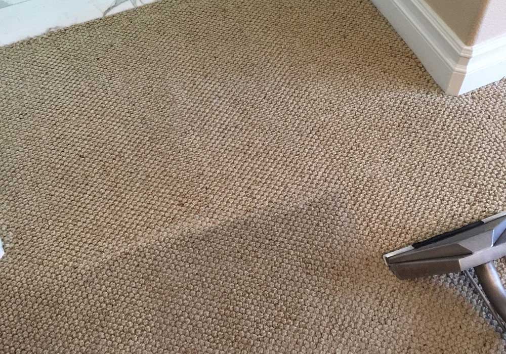 Gallery A1 Carpet Masters 7022596500