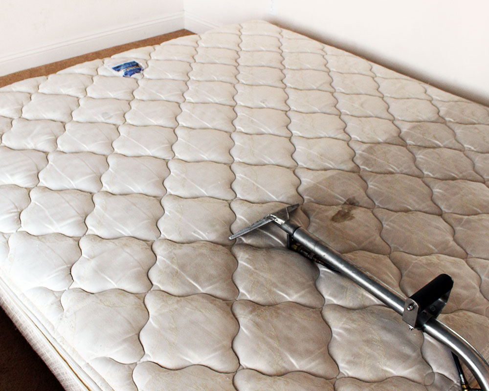 Mattress Cleaning A1 Carpet Masters 7022596500