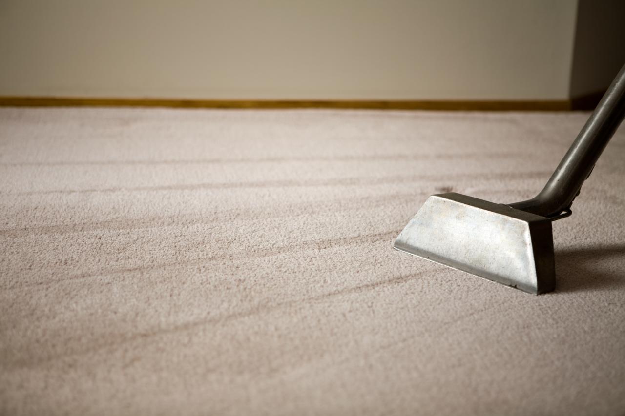 Carpet Cleaner Carpet Cleaning North Shields Whitley Bay Wallsend