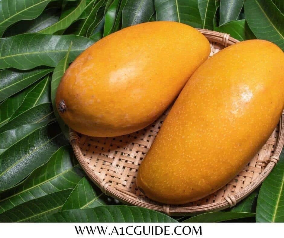 How to Prepare Mango Leaves for Diabetes A1CGUIDE