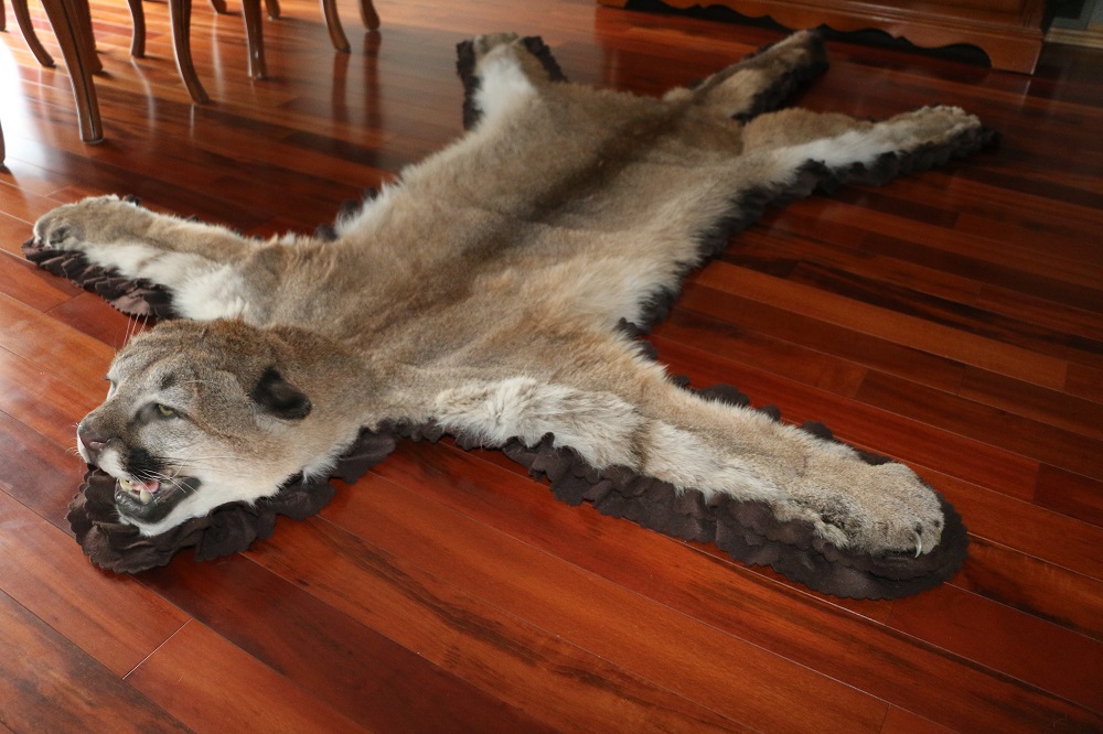 Mountain Lion Cougar Rug P&D International Furtraders